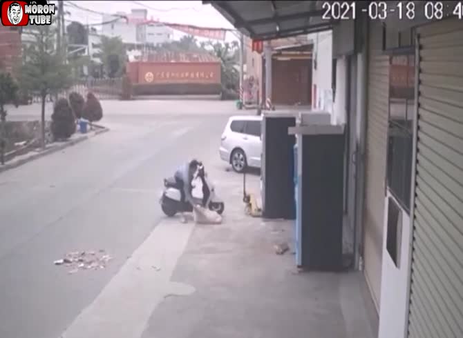 Video :A dog murderer was apprehended